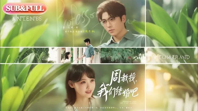 周教授，我们结婚吧 短剧[全]