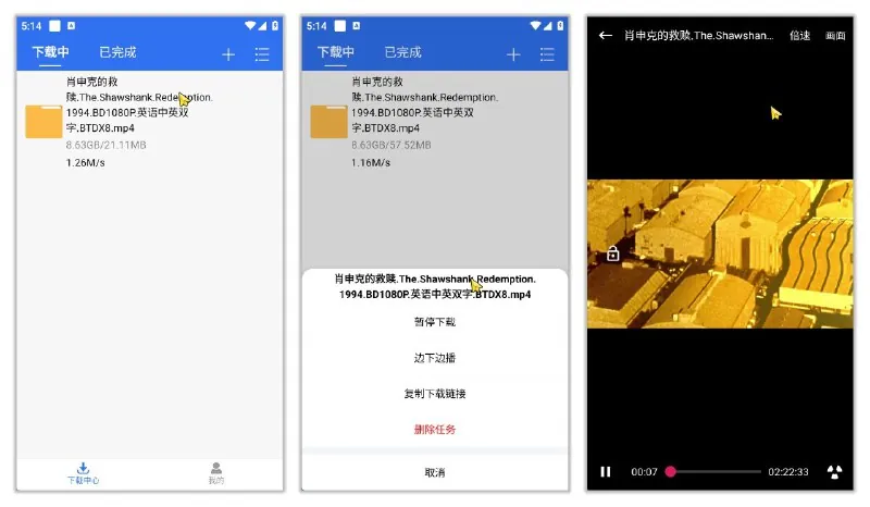 飞流下载器v1.1.0 夸克